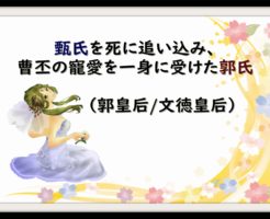 卞夫人 卞皇后 の記事一覧 なんでも三国志