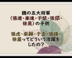 楽綝 の記事一覧 なんでも三国志