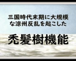 禿髪樹機能vs文鴦 タグの記事一覧 なんでも三国志