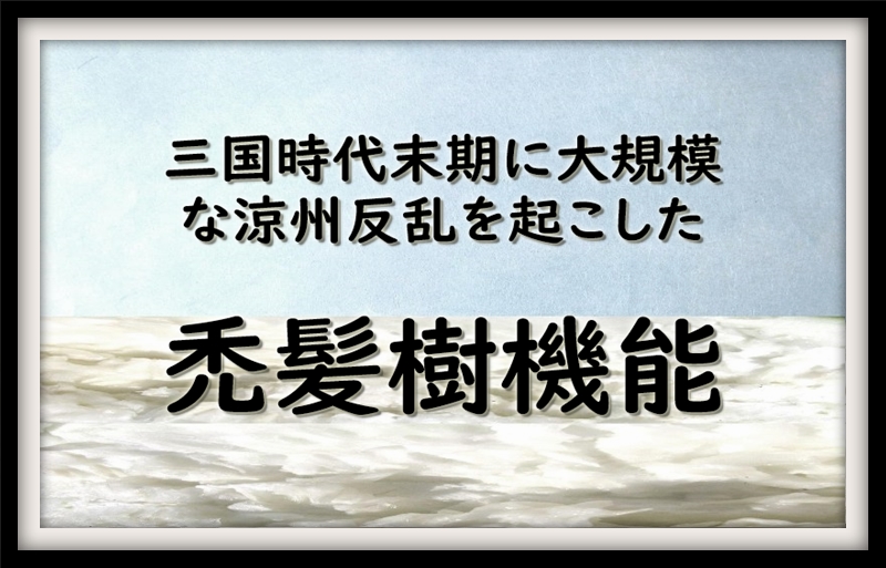 三国時代末期に大規模な涼州反乱を起こした禿髪樹機能 とくはつじゅきのう なんでも三国志